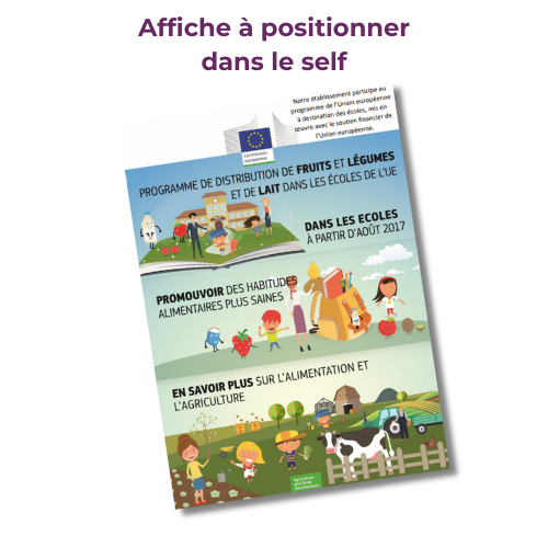 Affiche LFE