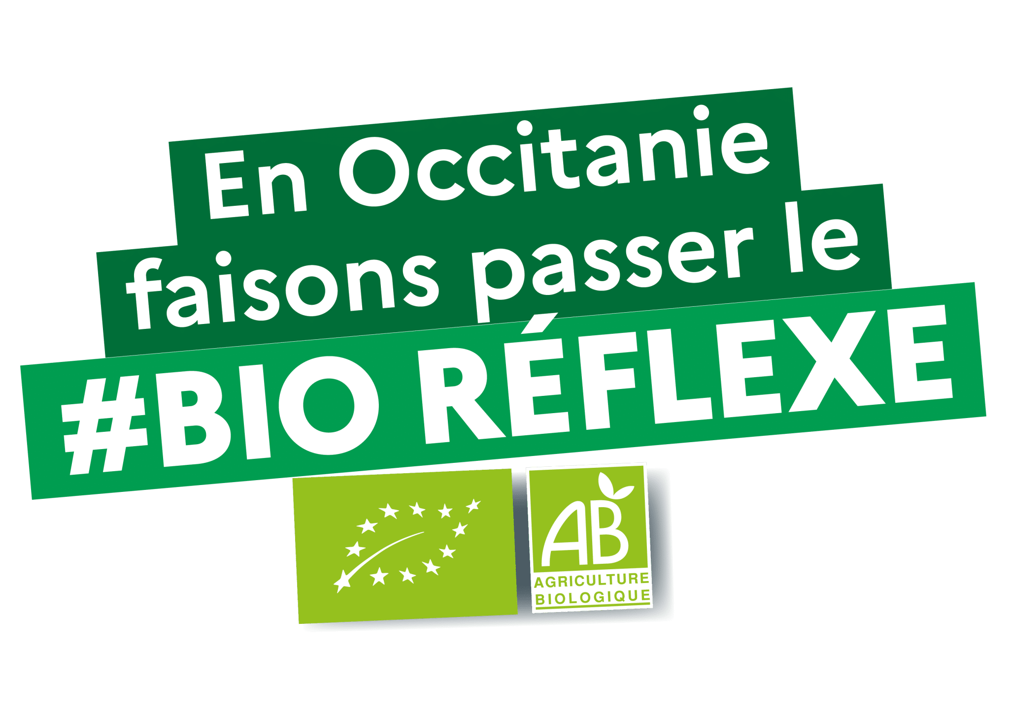 logo bioreflexe occitanie