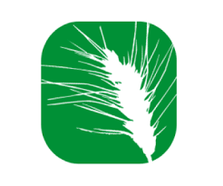 logo SCIC Graines Equitables