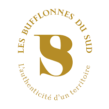 Les bufflonnes du sud